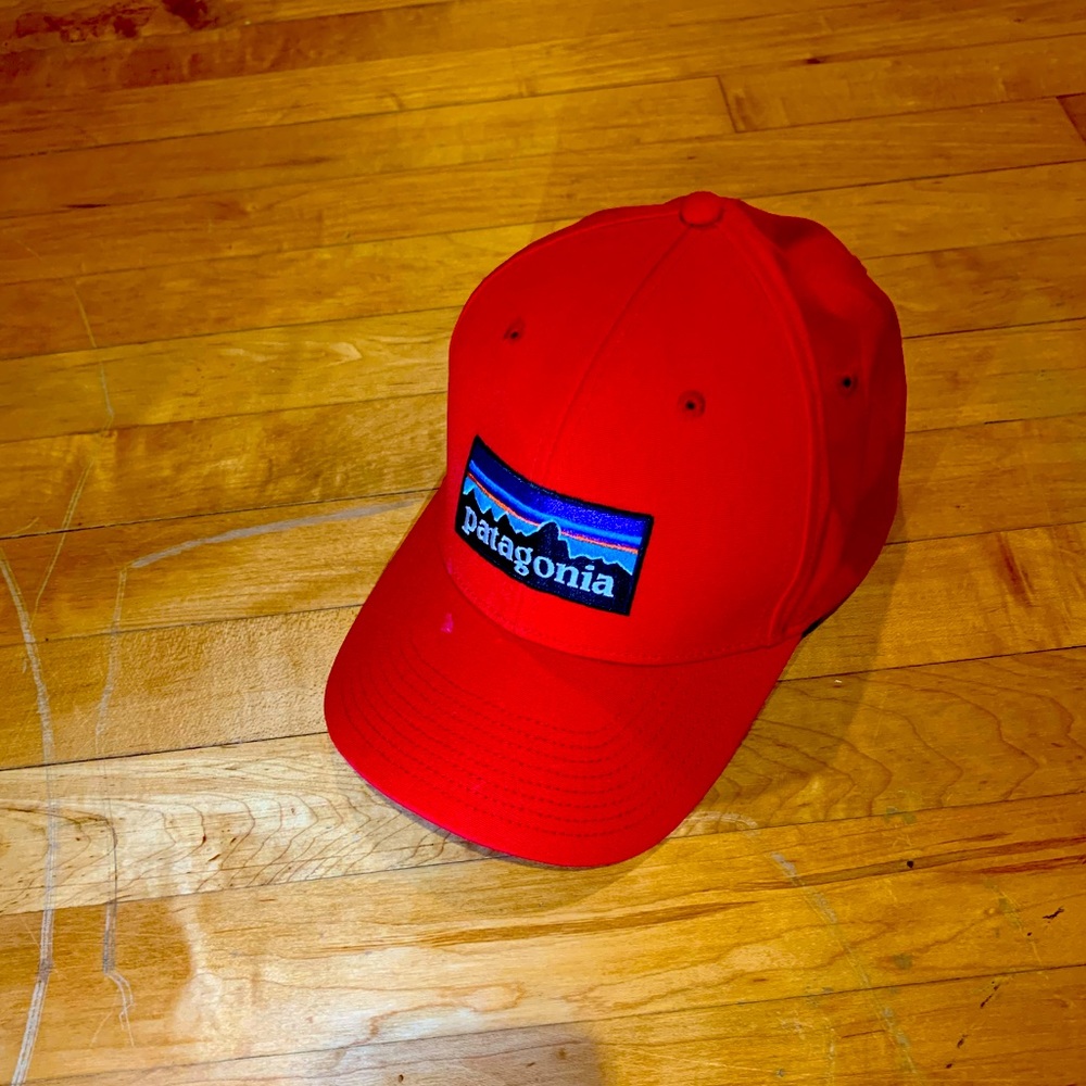 Patagonia trucker hat
